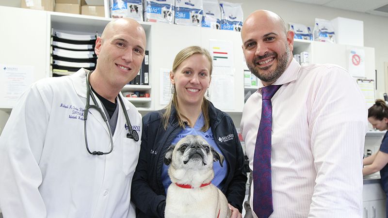 Pug dog patient surrounded by Drs. Michael Della (Internal Medicine), Jeanne Lane (Medical Oncology), and Karl Maritato (Surgery)