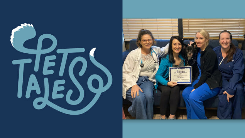 Dog patient named Fifi surrounded by four MedVet team members with one holding up a certificate celebrating her successful graduation from chemotherapy