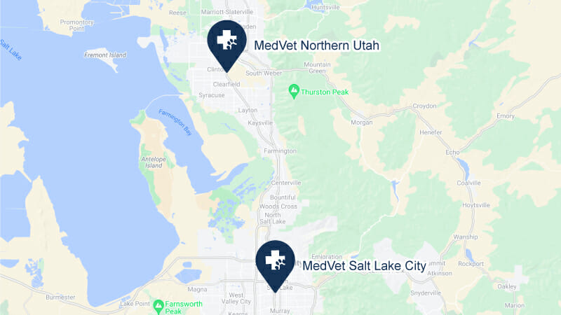 Choices for Emergency Pet Care in Utah Map