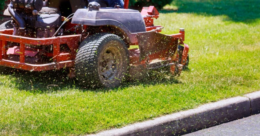 Mowing can agitate a pet's allergies.