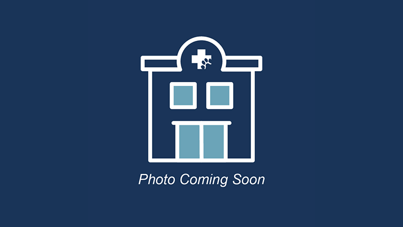 MedVet Phoenix Hospital Building