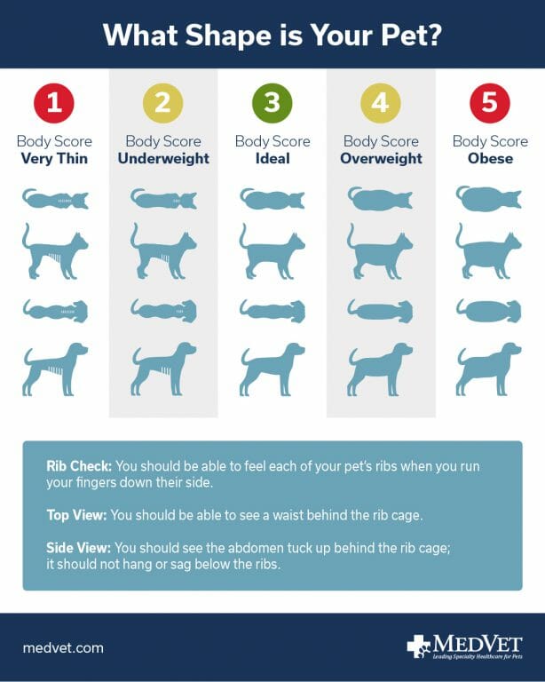 Pet Weight Diagram