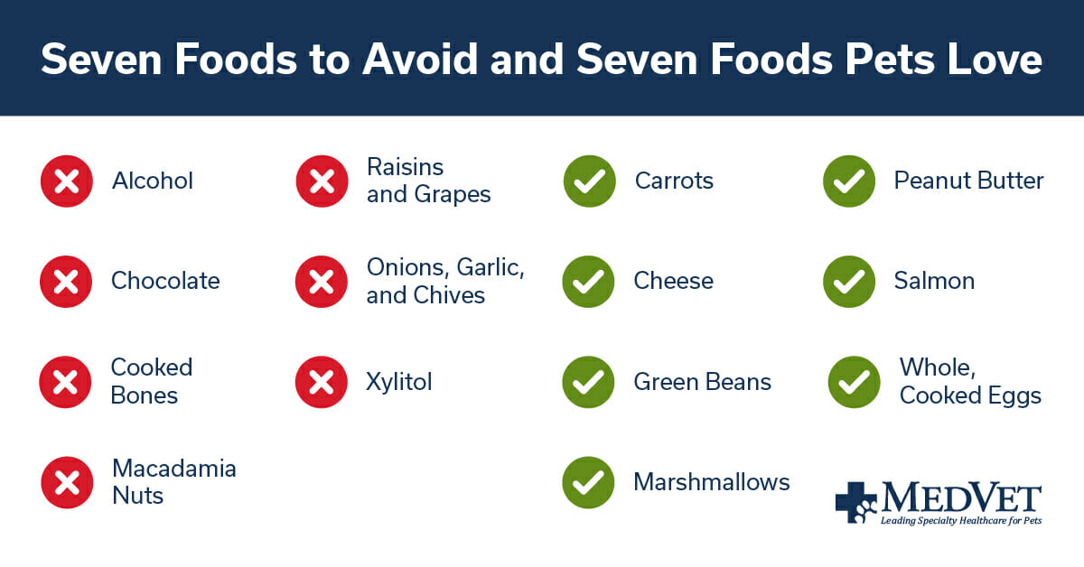 Veterinary Urgent Care for Pets Find Your Nearest Location