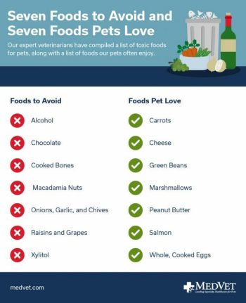 Seven Foods to Avoid and Seven Foods Pets Love