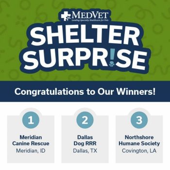 2022 MedVet Shelter Surprise Winners
