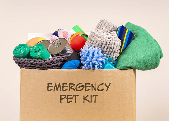 Disaster Preparation and Your Pet - Emergency Pet Kit