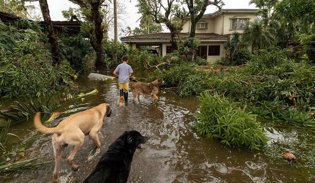 Disaster Preparation and Your Pet: Would You be Ready?
