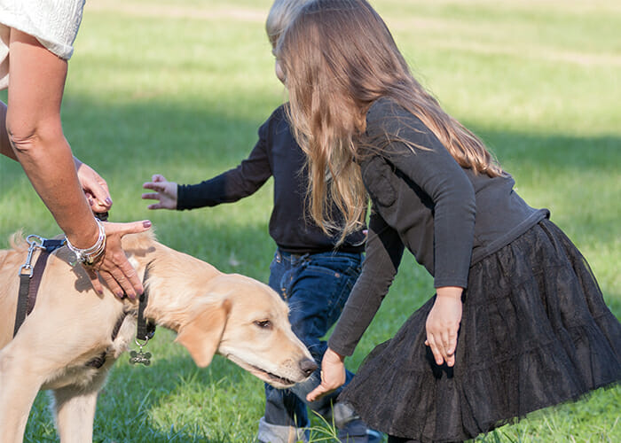 Dog Bite Prevention - Children asking to pet dog
