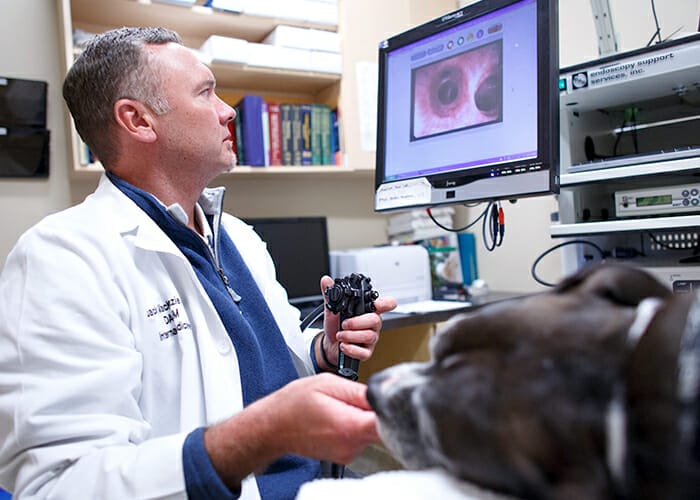 Foreign Object - Dr. Mackenzie perfroms an endoscopy on a dog