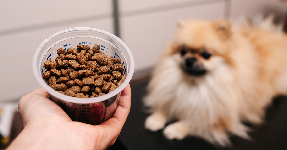 Pet Weight - measuring pet food