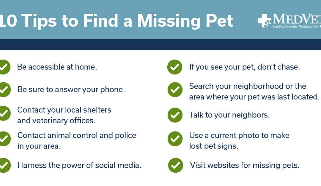 10 Tips to Find a Missing Pet and Bring Them Home Safe