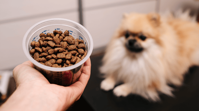 Pet Weight - Measuring pet food