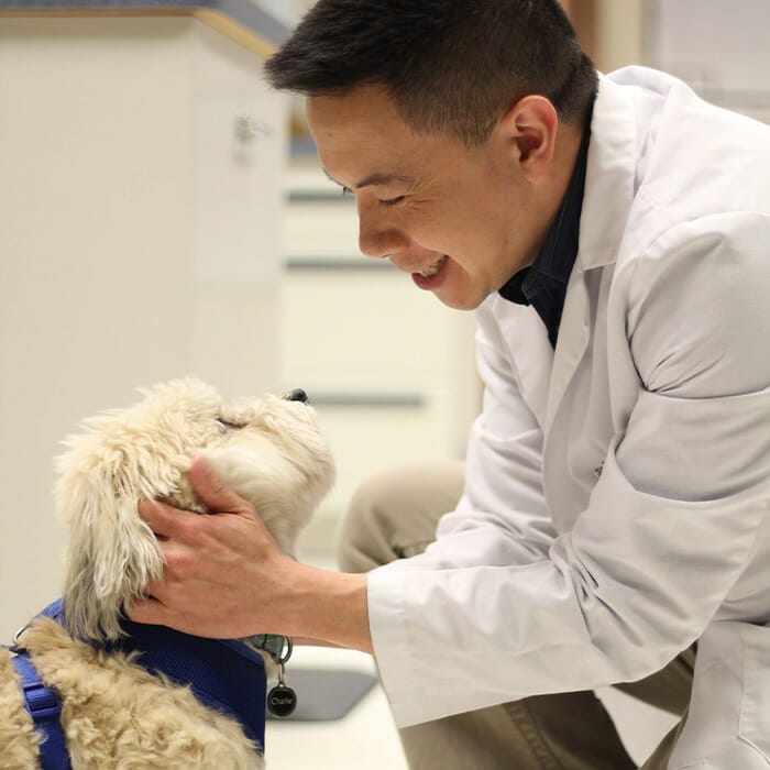 meet the specialist dr thaibinh nguyenba with dog