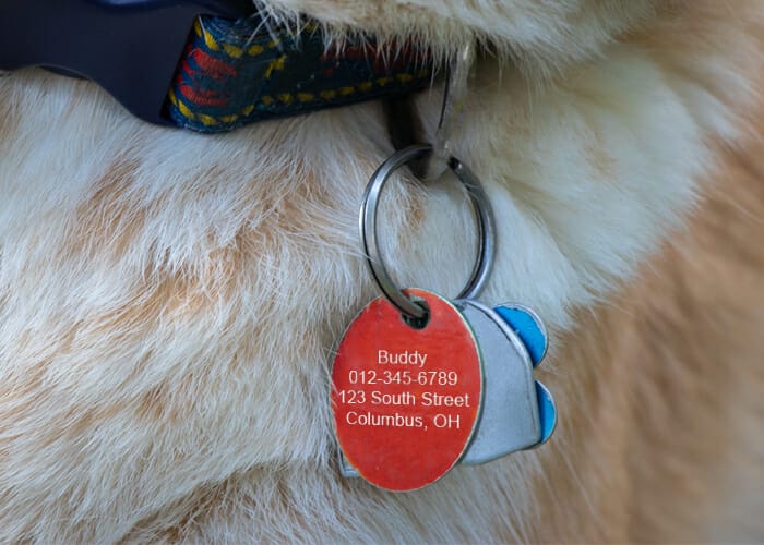 Pet ID - Dog Tag Information