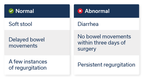 Dog not sales pooping after surgery