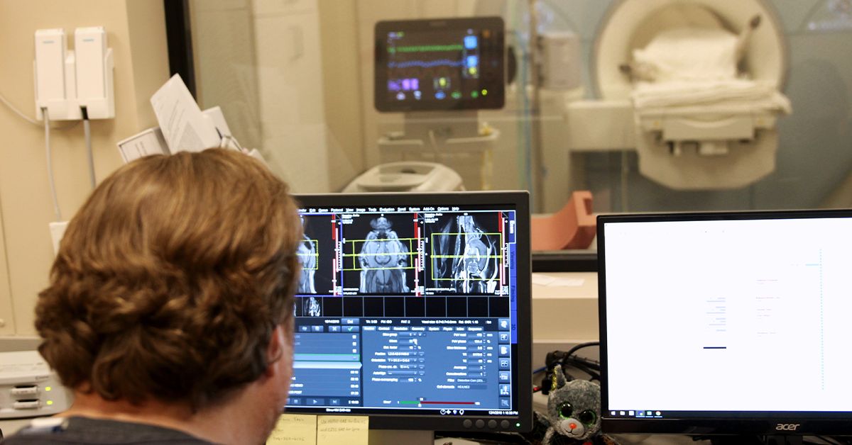 Tech using the MRI machine and examining MRI