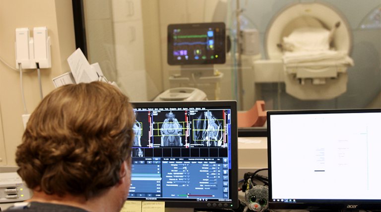 Tech using the MRI machine and examining MRI