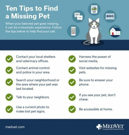 Ten Tips to Find a Missing Pet