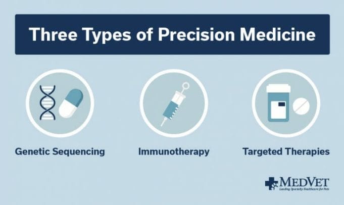Percison Medicine in Veterinary Oncology -Three Types of Precision Medicine