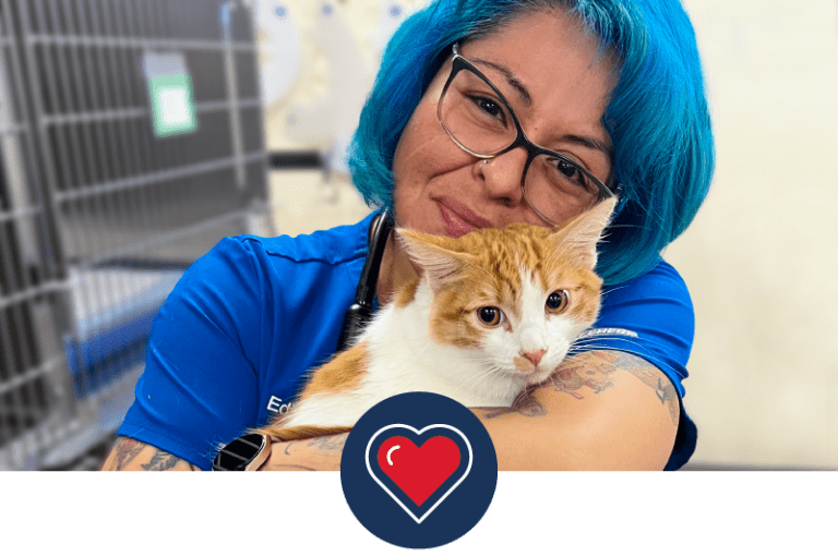 MedVet Experience Leading Specialty Healthcare for Pets