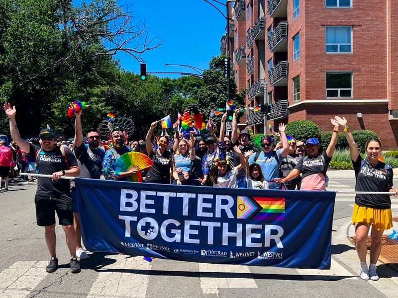 MedVet team members march in the Chicago PRIDE Parade