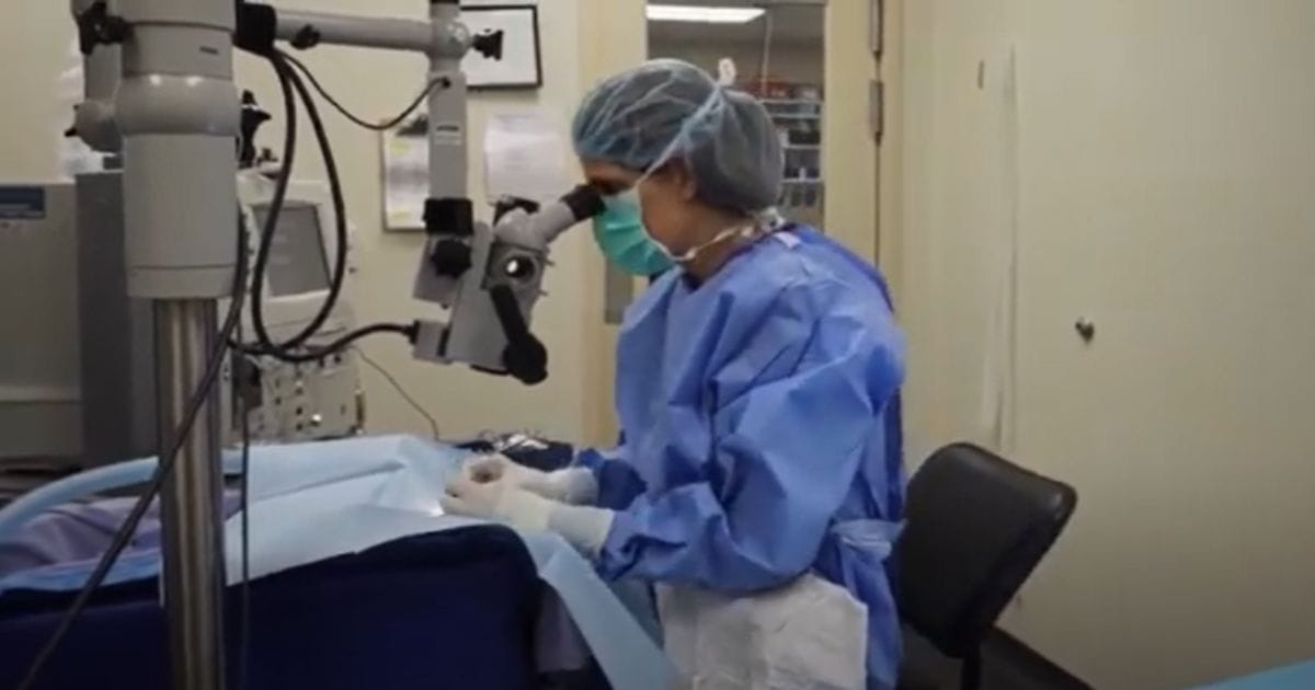 MedVet veterinary ophthalmologist, Dr. Vanessa Kuonen Cavens, performs cataract surgery on a dog.