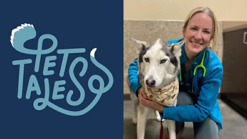 Dog patient Millie happy after successful treatment at WestVet Boise veterinary hospital