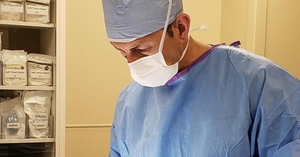 Dr. Matthew Barnhart performs surgery on a pet at MedVet Columbus