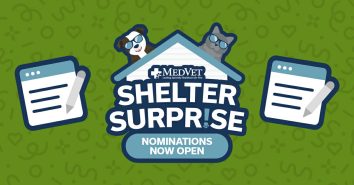 Nominations open for Shelter Surprise