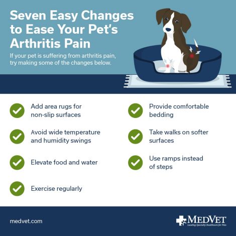 Graphic with tips for helping a pet with arthritis