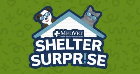 MedVet Shelter Surprise logo