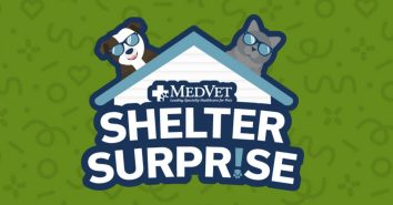 MedVet Shelter Surprise logo