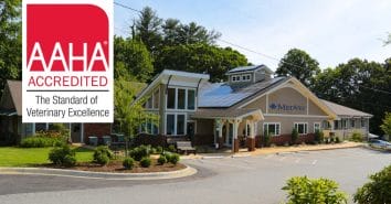 MedVet Asheville Earns American Animal Hospital Association Accreditation