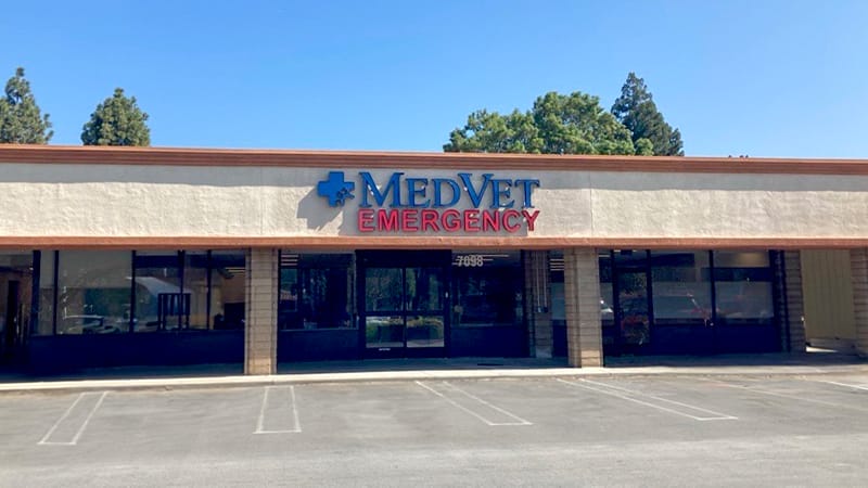 MedVet Silicon Valley MedVet Silicon Valley