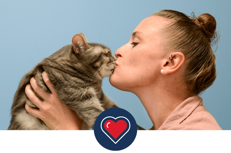 Veterinarian kisses cat