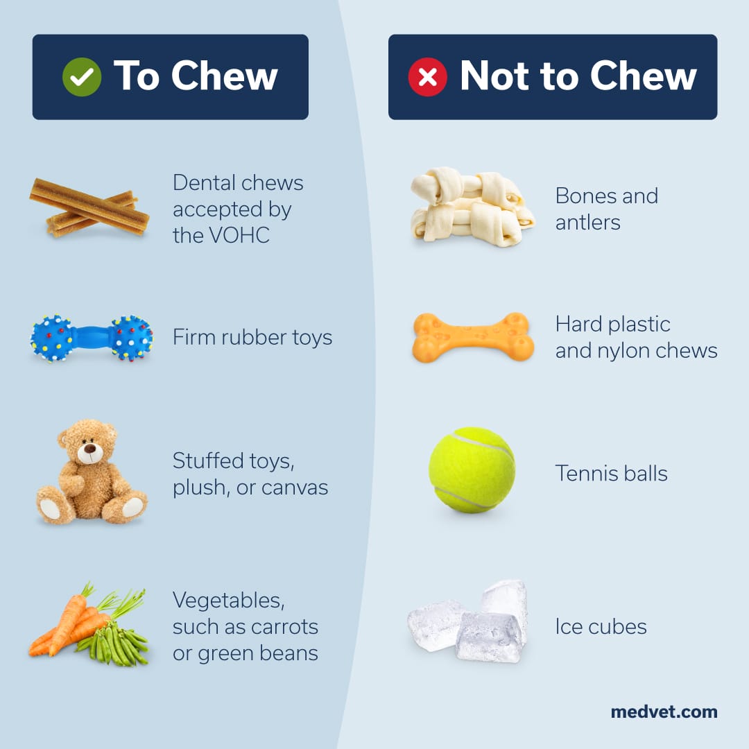 safe chew toys for pets