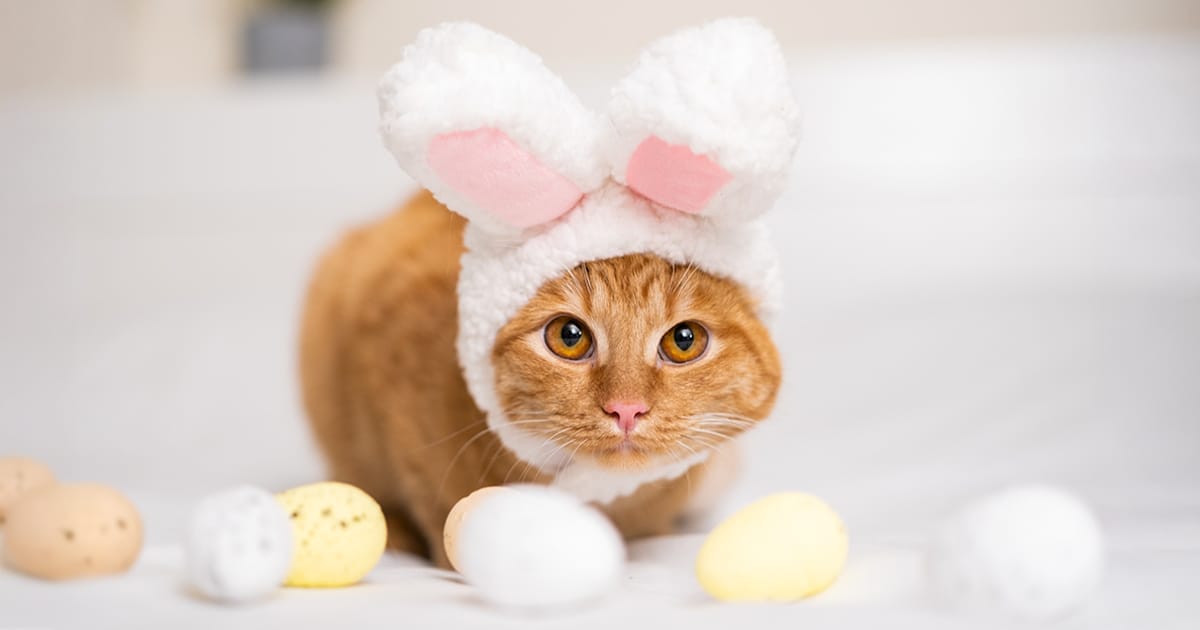 pet easter safety