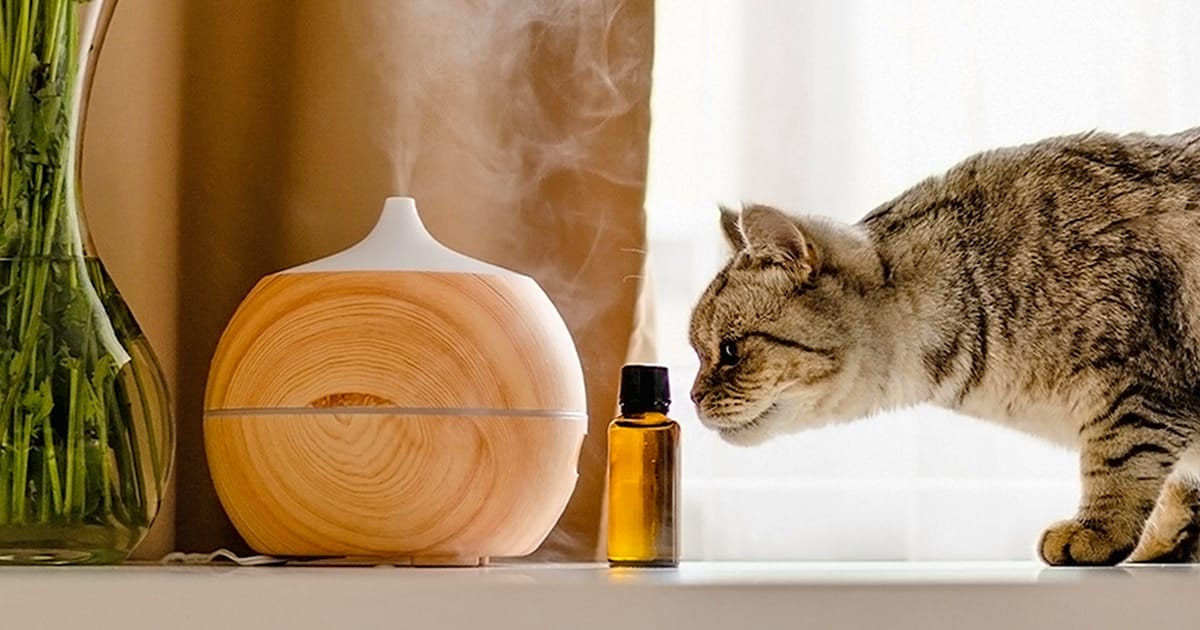 surprising pet poisons