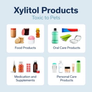toxic xylitol products to pets