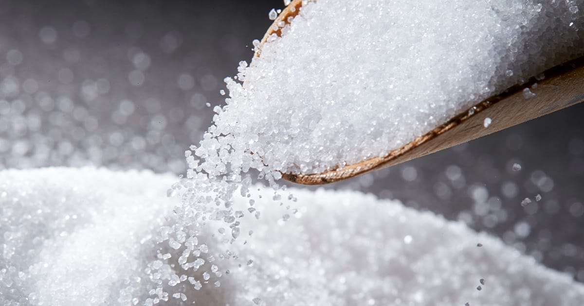 xylitol poisoning in dogs