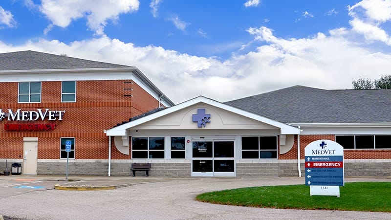 MedVet Akron Hospital Building