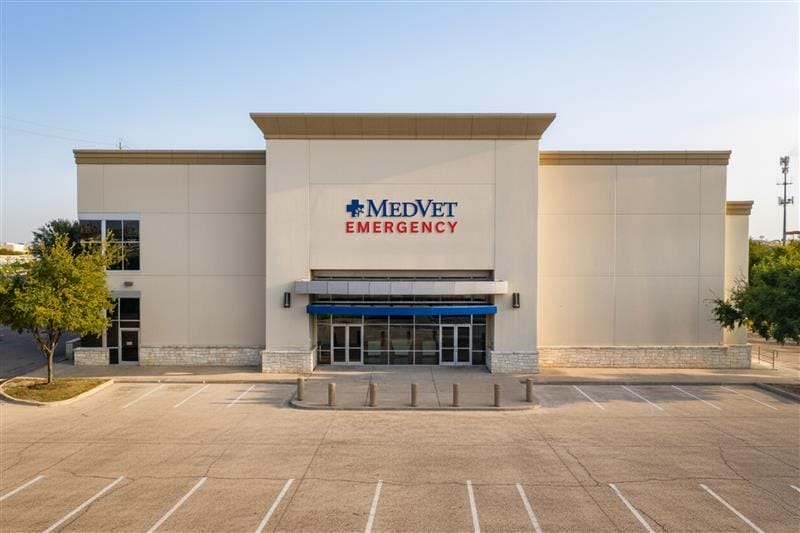 MedVet Austin