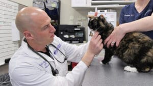 diagnosing pancreatitis physical exam