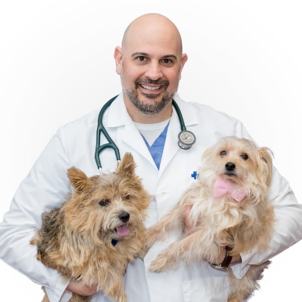 Dr. Karl Maritato with pets