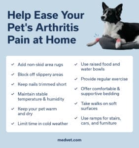help ease pets arthritis pain at home