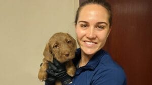 treating parvovirus in puppies