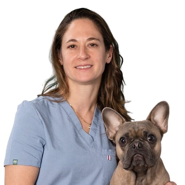 Dr. Roxanna Khorzad, Board-certified Veterinary Emergency & Critical Care Specialist at MedVet Austin