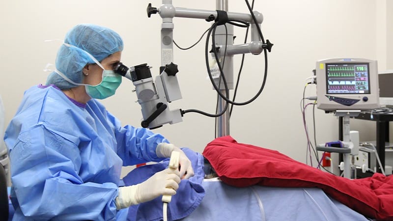 glaucoma-surgery-treatment-pets