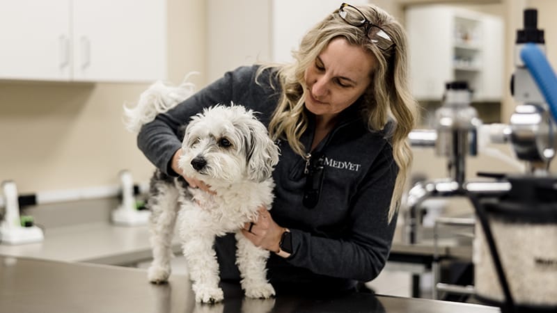 health care for your puppy