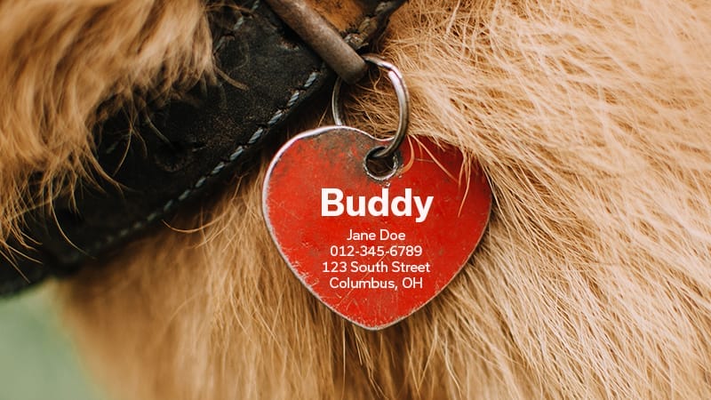 pet identification tag